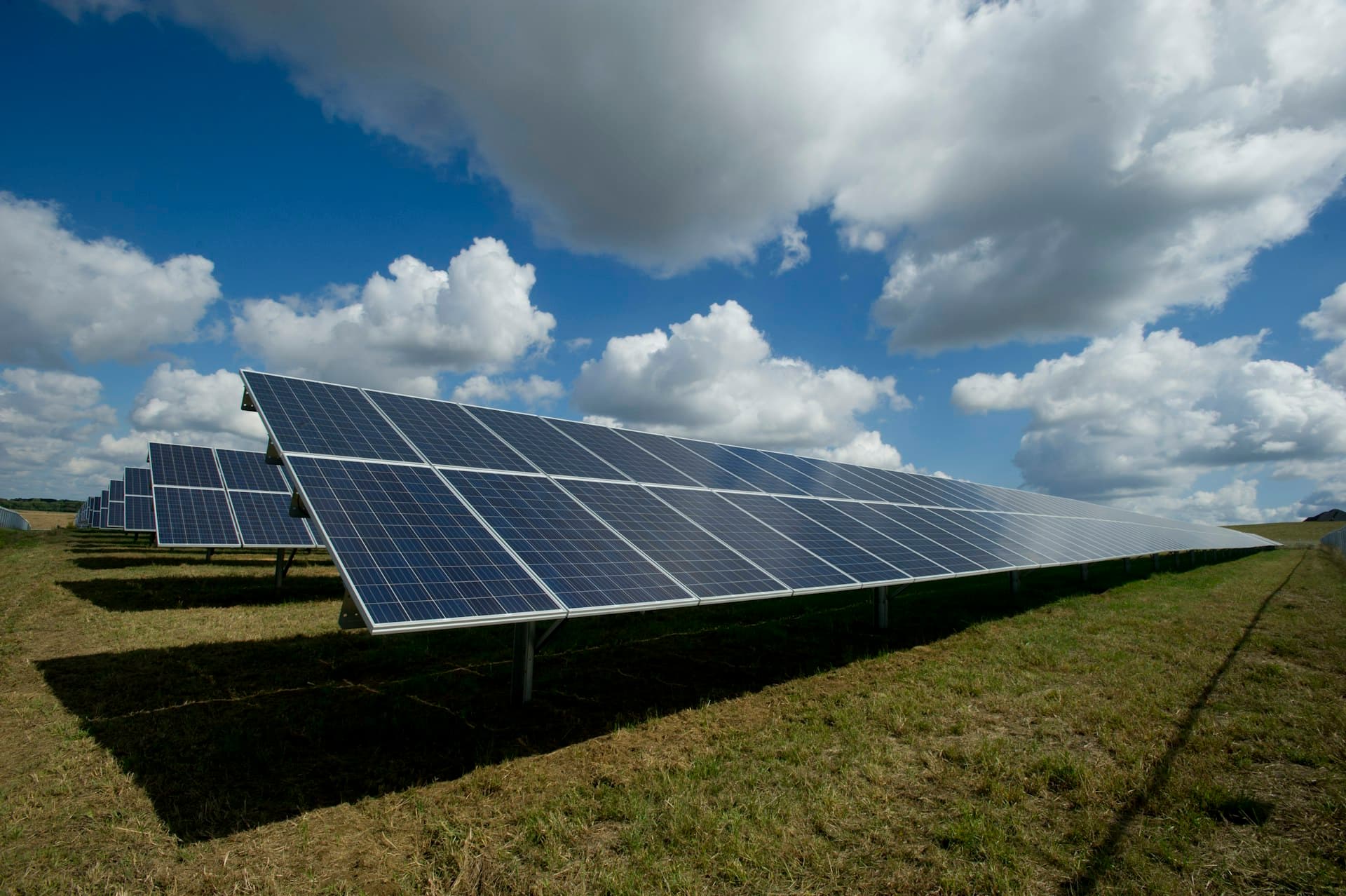 Solar farm at sunrise